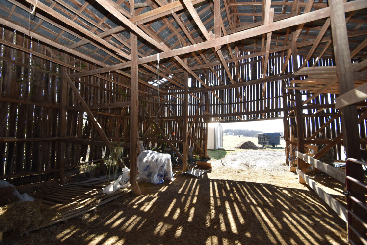 Listing Image 86