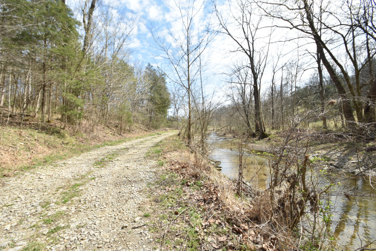 Listing Image 88