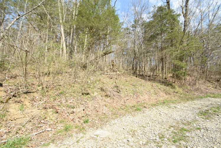 Listing Image 89