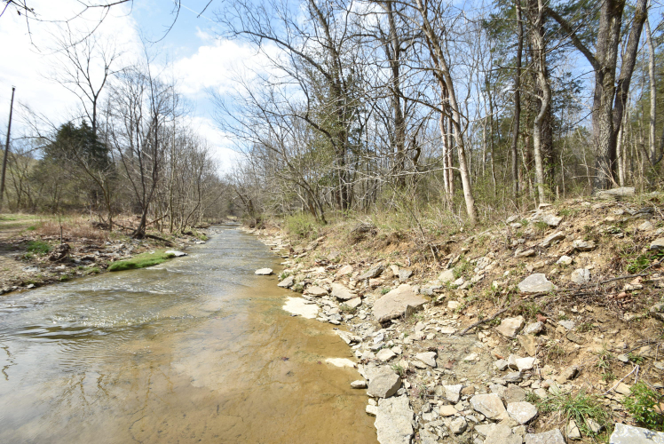Listing Image 90