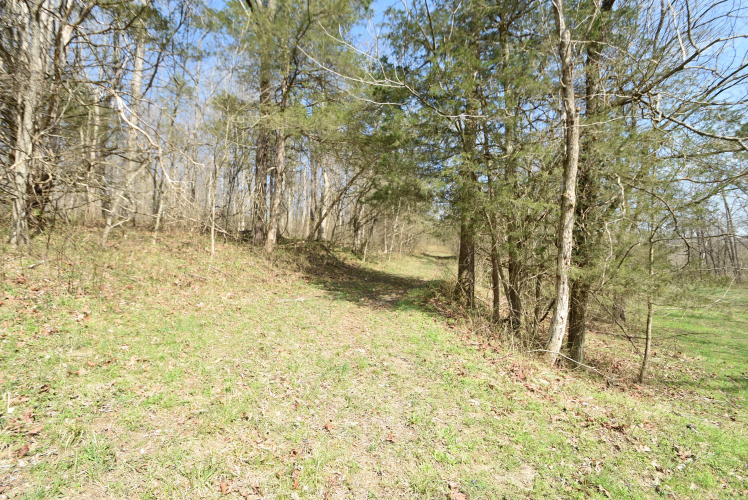 Listing Image 95