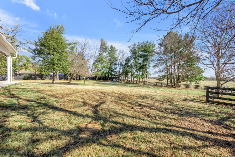 Listing Image 65