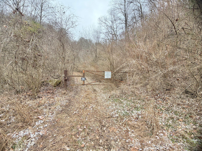 Listing Image 37
