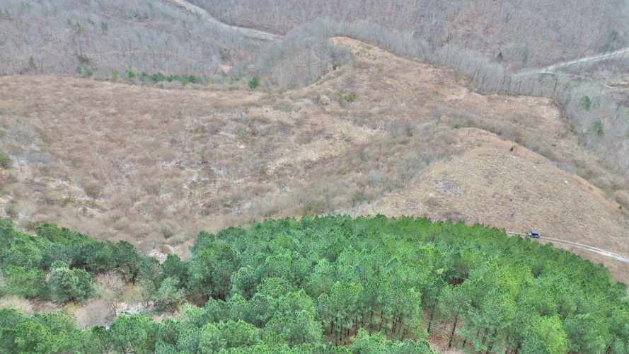 Listing Image 53