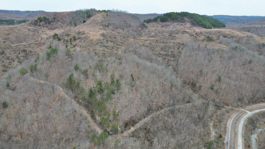 Listing Image 54