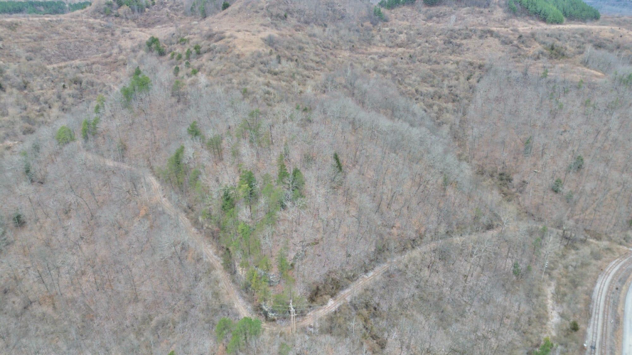 Listing Image 60