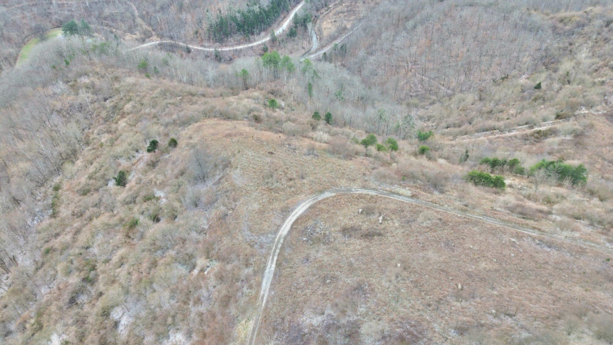 Listing Image 62