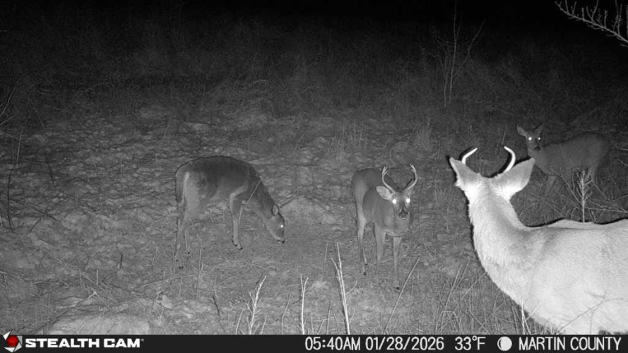 Listing Image 67