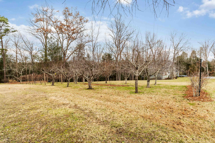 Listing Image 89