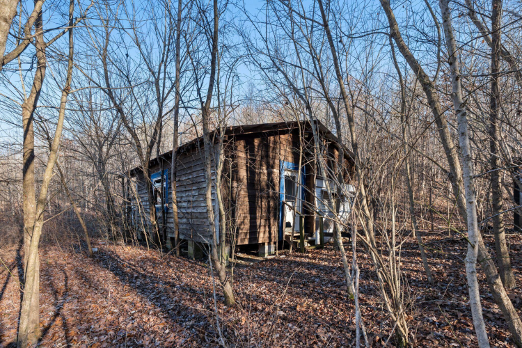 Listing Image 16