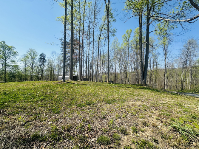 Listing Image 29