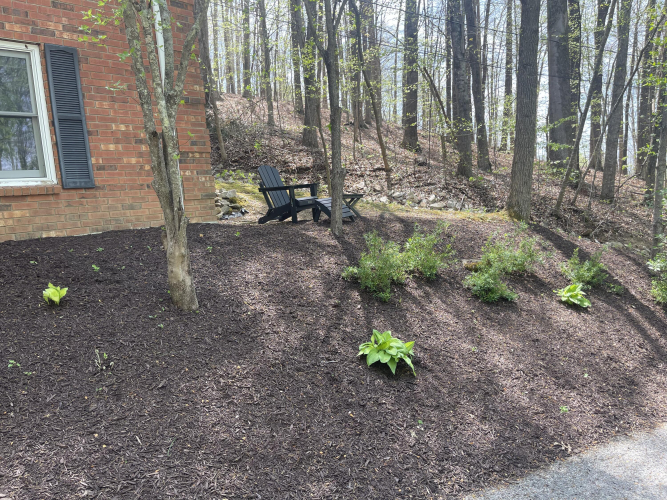 Listing Image 52