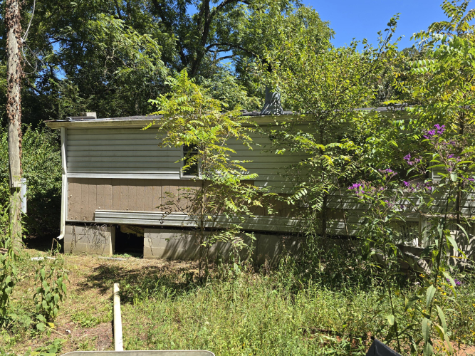 Listing Image 18