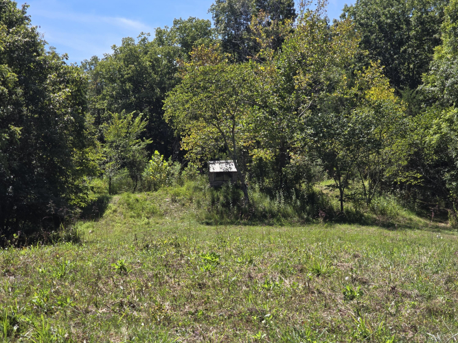 Listing Image 28