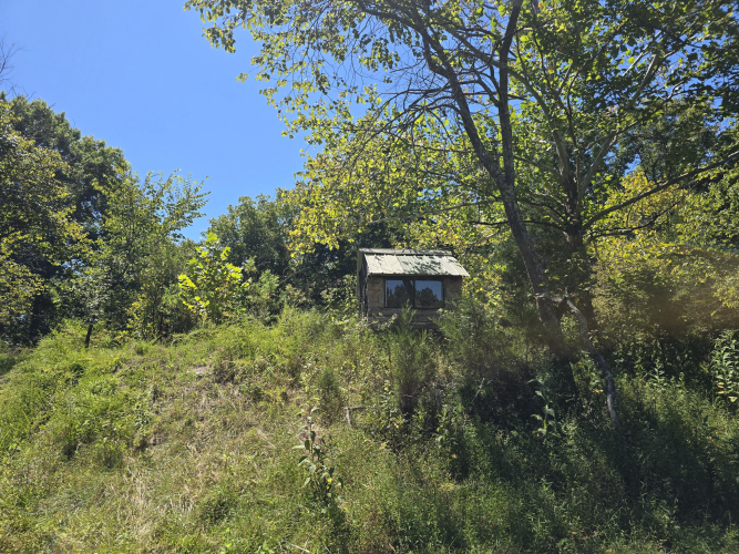 Listing Image 29