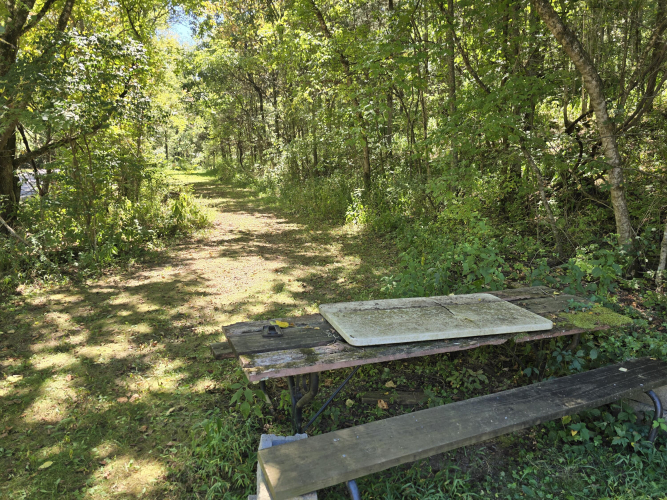Listing Image 31