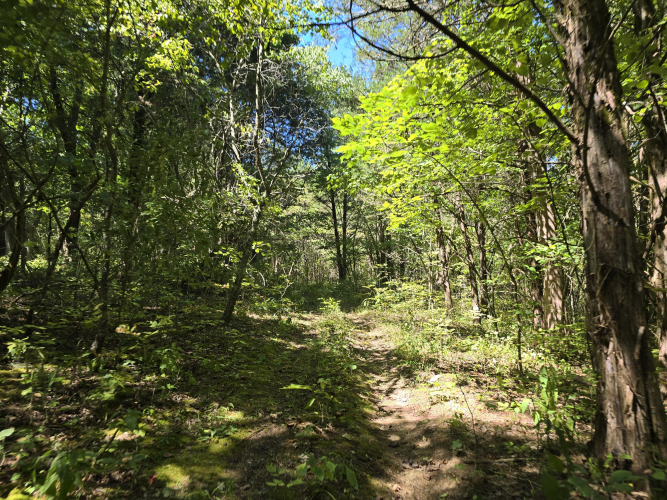 Listing Image 32