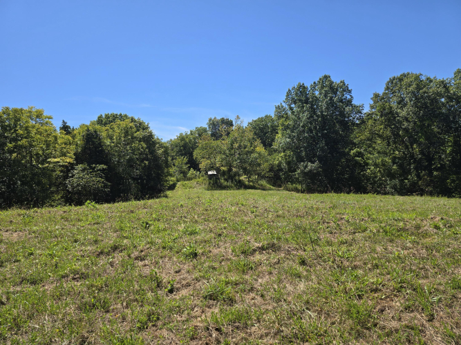 Listing Image 46
