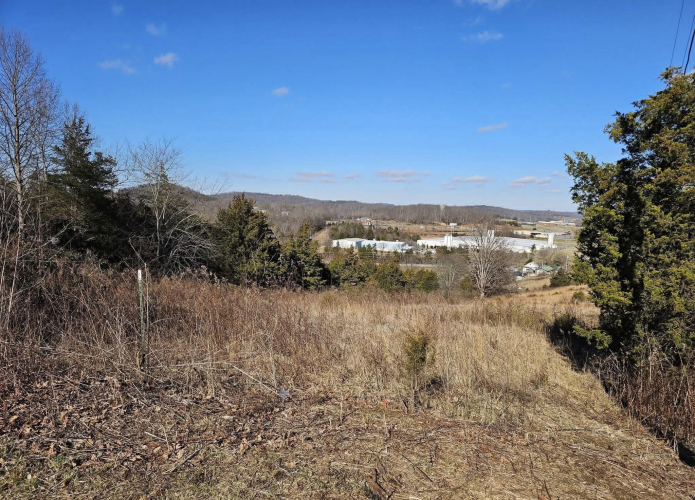 Listing Image 11