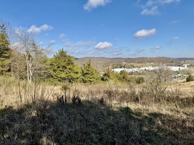 Listing Image 12