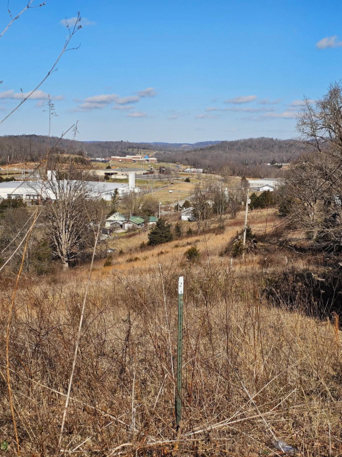 Listing Image 14