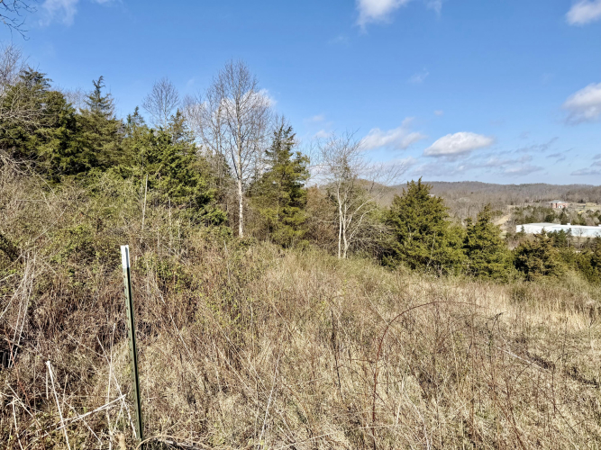 Listing Image 17