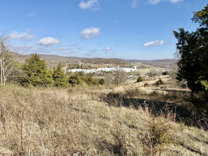 Listing Image 18