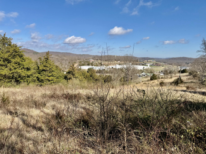 Listing Image 22