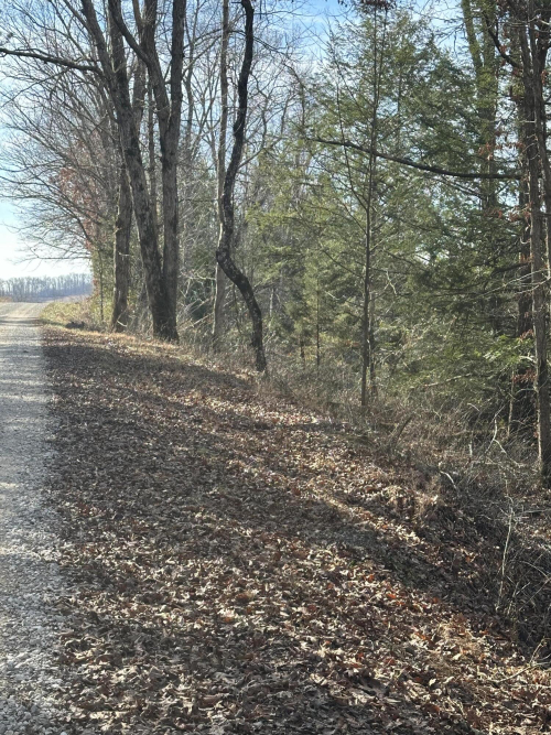 Listing Image 16