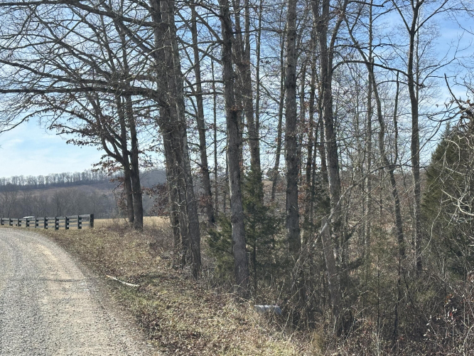 Listing Image 17