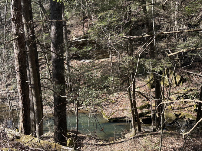 Listing Image 2