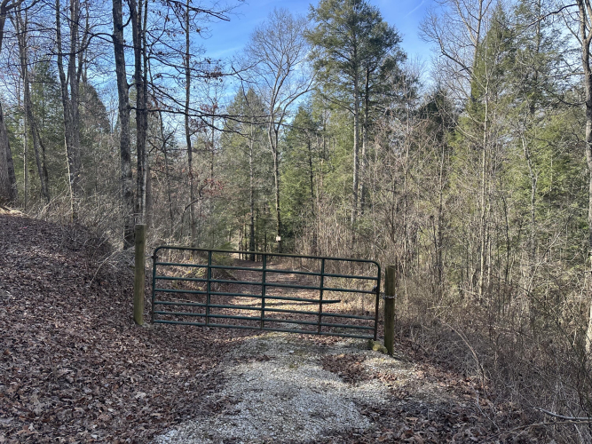 Listing Image 14