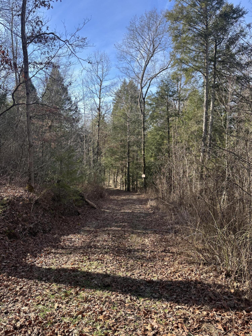 Listing Image 16