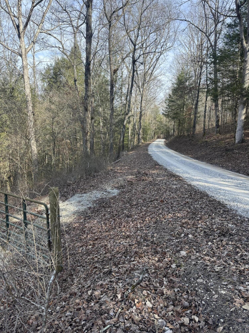 Listing Image 18