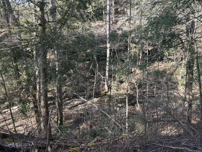 Listing Image 21