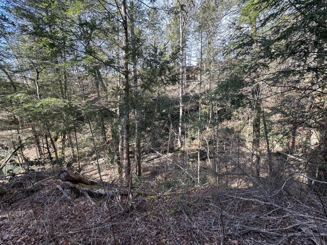 Listing Image 22