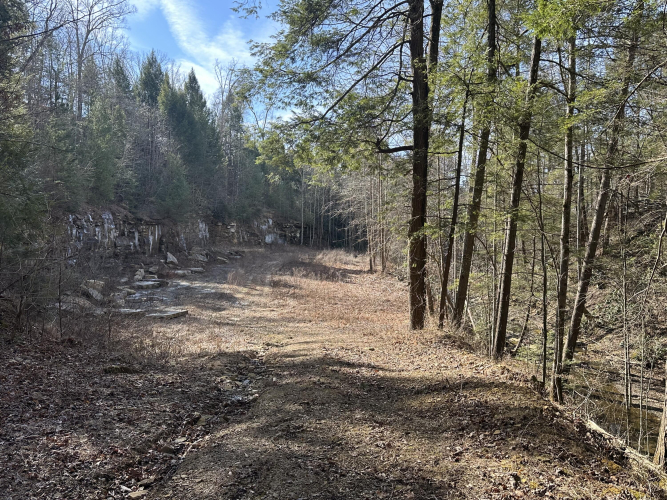 Listing Image 23