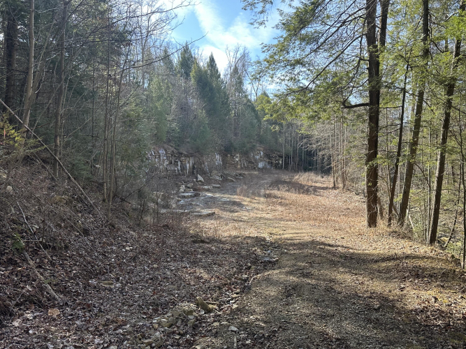 Listing Image 24