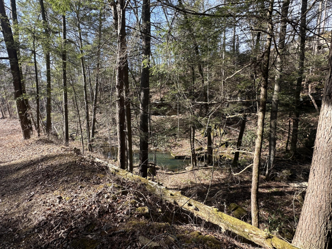 Listing Image 6