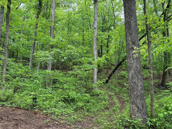 Listing Image 14