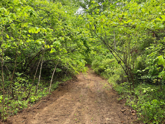 Listing Image 17