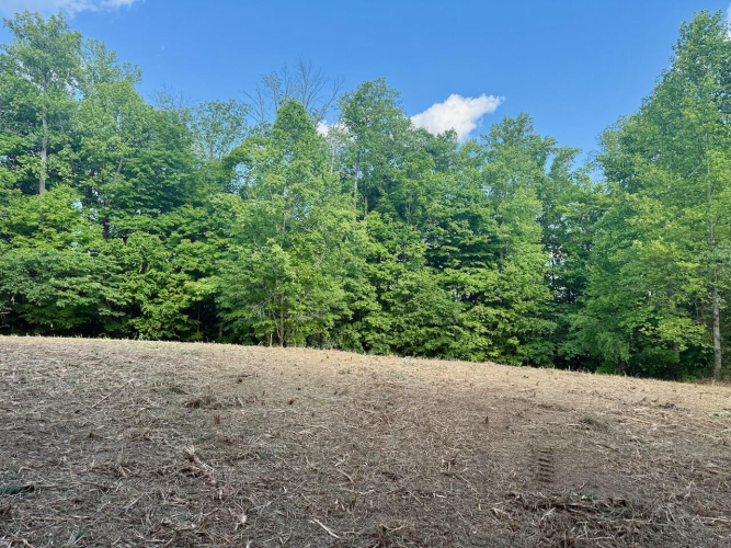 Listing Image 24