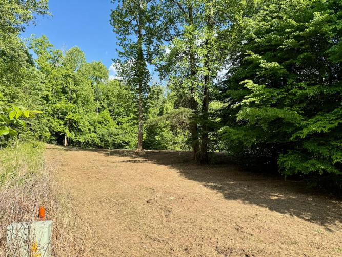 Listing Image 25