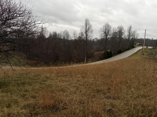 Listing Image 16
