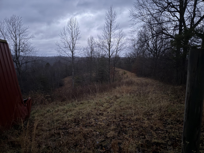 Listing Image 21