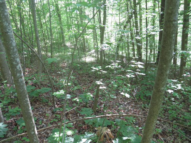 Listing Image 14