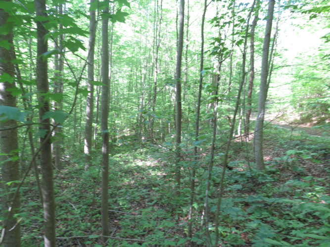 Listing Image 17