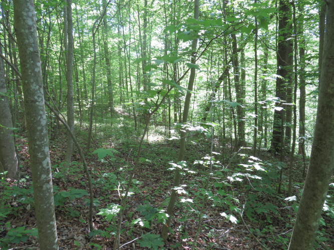 Listing Image 20