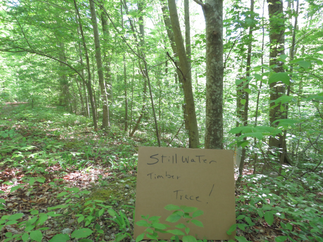 Listing Image 21