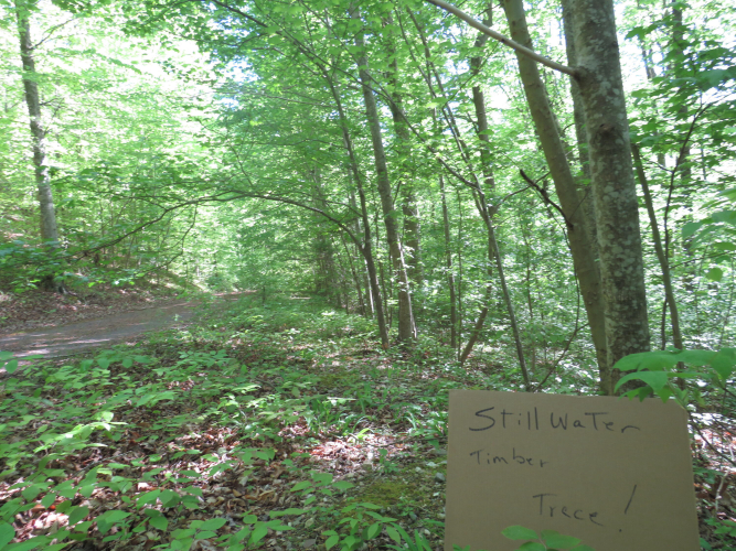 Listing Image 22